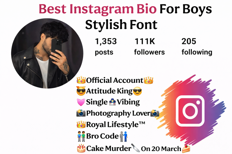 Instagram Bio for Boys Stylish Font