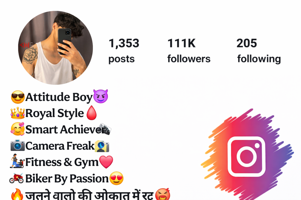 Instagram Bio For Boys Attitude
